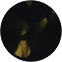 Sharonfsx profile picture